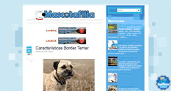 Desktop Screenshot of mascotafilia.com